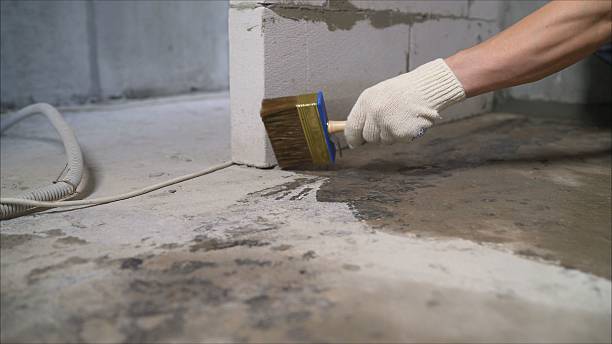 SJ Waterproofing Pros Interior Drainage System coverage map for Hector, MN and surrounding area